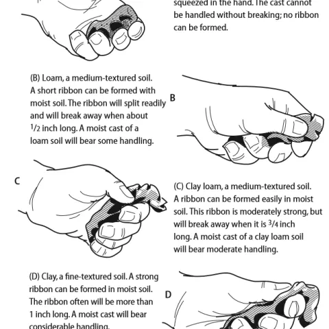 feel test for soil water holding capacity