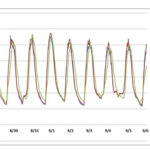Figure 1: Temperatures from 8-29 to 9-6.. Note that measurement of temperature began at approximately noon on August 29, 2019 and peaks are realized around 2 pm every day, temperatures measured in degrees Celsius.