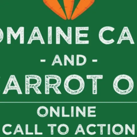 Romaine calm logo