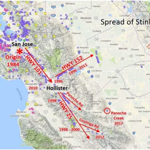 Map from Calflora. Arrows and road names added by Ryan O'Dell.