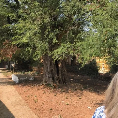 photo by Lowell Cooper