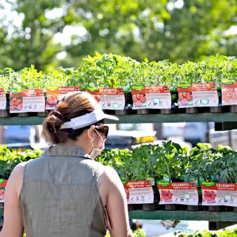 Gardening is restorative, a way to be physically active and a way to take positive action during a crisis. (Photo: Evett Kilmartin)