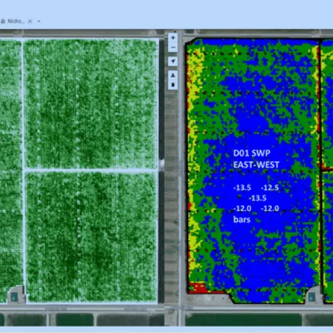 Eastside Non-Saline CERES