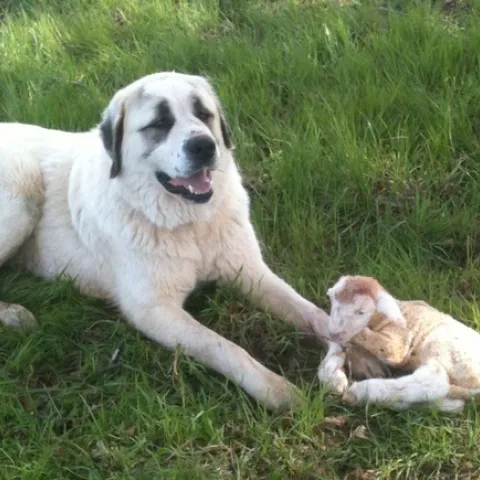 531964 412875048740828 557813658 n