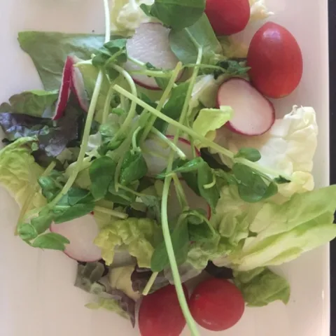 Salad with microgreens, Kim Schwind