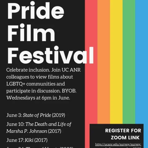 Pride Film Fest Poster