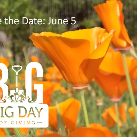 Save the Date: June 5th is Big Dig Day