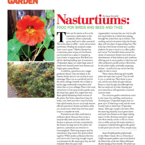 ss may 2020 kornfeld