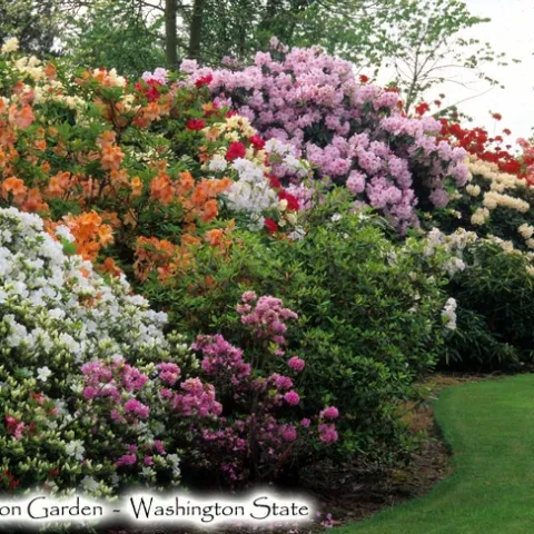 Anderson Garden Photo by Don Wallace