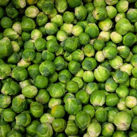 Brussels Sprouts