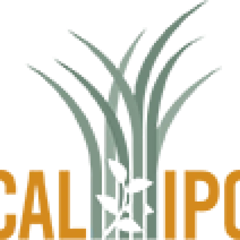 https://www.cal-ipc.org/plants/profiles/
