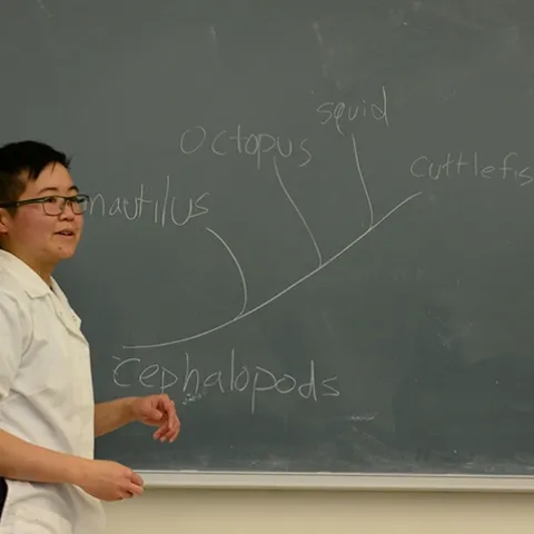 UC Davis biology lab manager Ivana Li discusses ocean life at the 2019 UC Davis Biodiversity Museum Day. (Photo by Kathy Keatley Garvey)
