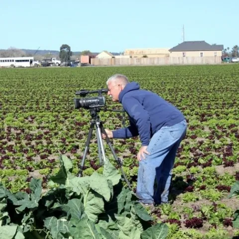 Researcher looking through video camera while in a field.