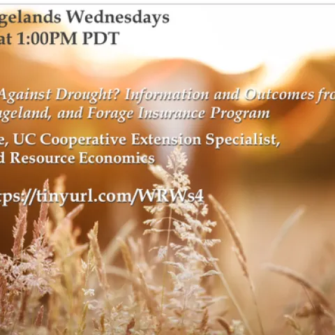 Working Rangelands Tina Saitone