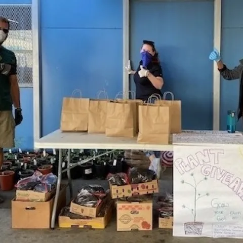 Volunteers standing with a table full of tomato and basil plants. All giving the thumbs up.