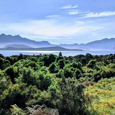 Fjordland National Park in New Zealand. Some protected area networks, such as in New Zealand, are projected to capture more of the current climate than others in the future as climate warms. Photo by Paul Elsen