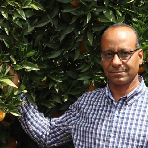 Ashraf El-kereamy, UC Cooperative Extension citrus specialist, will be the new director of Lindcove Research & Extension Center.