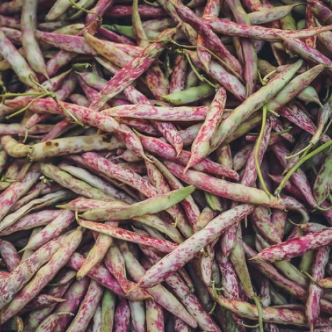 Beans (Unsplash, free-to-use-sounds)
