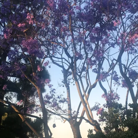 photos by Mary Gabbard