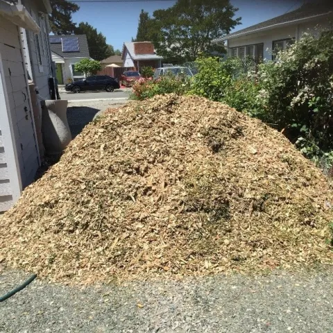 photos by Brenda Altman