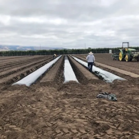 BDM layout practice June 2020.