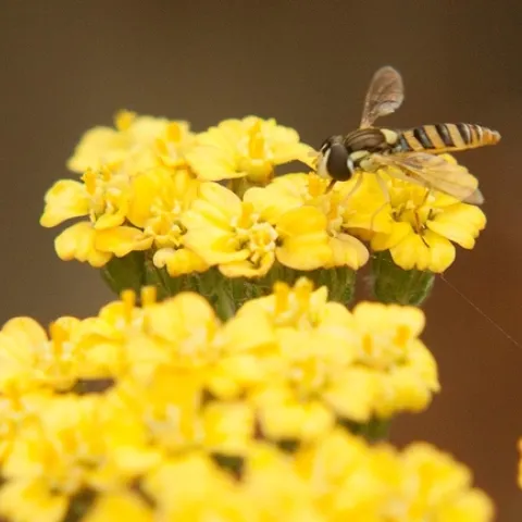 photos by Alex Russell