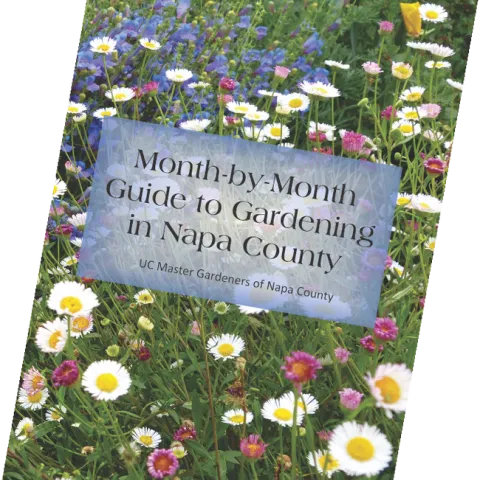 UC Master Gardeners of Napa County's new Month by Month guide contains a record-keeping section