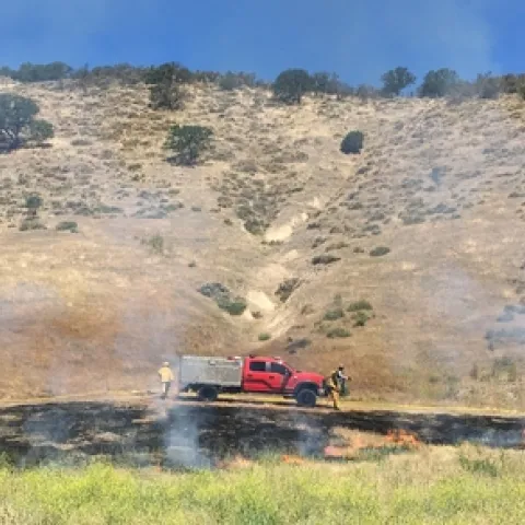 A low-intensity prescribed burn clears vegetation effectively and safely..