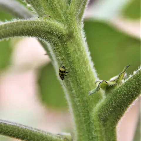 Photo by Jutta Thoerner