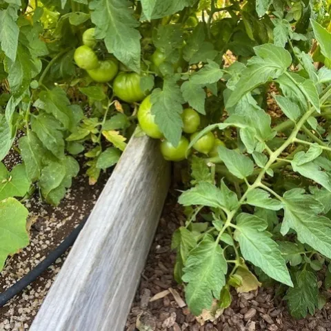 photo by Mike Gunther