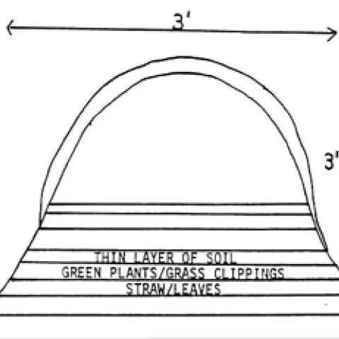 Compost basics (UC MG of Sonoma County)