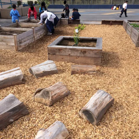 Children talking amongst themselves while on seated on and looking into the planters with children on the concrete in the background.