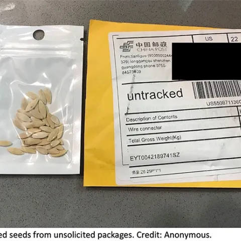 Unrequested package of seeds in a plastic bag next to the mailing envelope the seeds were delivered in. Credit: Anonymous