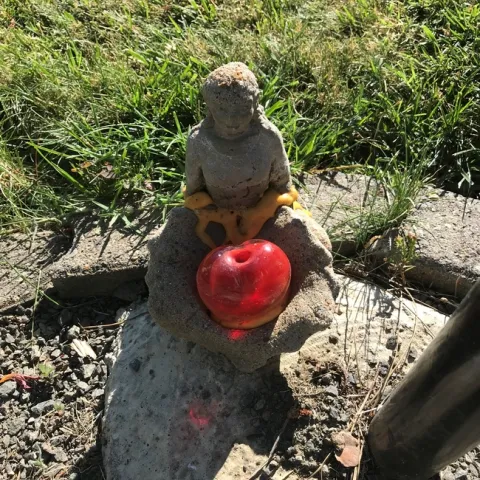 Happy to see you - Ya-Po-Ah Retirement Community Garden - photos by Trish Pashby