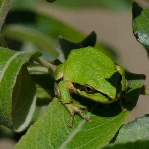 9346077511 d4b00bb7a9 k