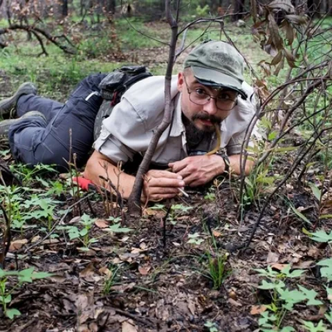 Ant specialist Brendon Boudinot searching for ants at the Southwest Research Station in Chiricahua Mountains near Portal, Arizona. (Photo by Roberto Keller, National Museum of Natural History and Science, Portugal)