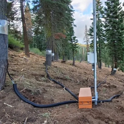 An instrumented forest restoration site in the Middle Fork of the American River Basin. Photo by Safeeq Khan