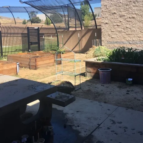 Since 2016, 4-H advisor JoLynn Miller has been partnering with teachers at Mother Lode Regional Juvenile Detention Facility to provide agricultural education, including growing food in a garden.