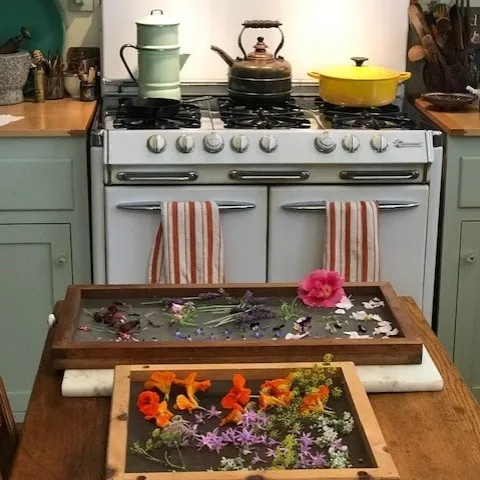 Kitchen Trays of Flowers(2)