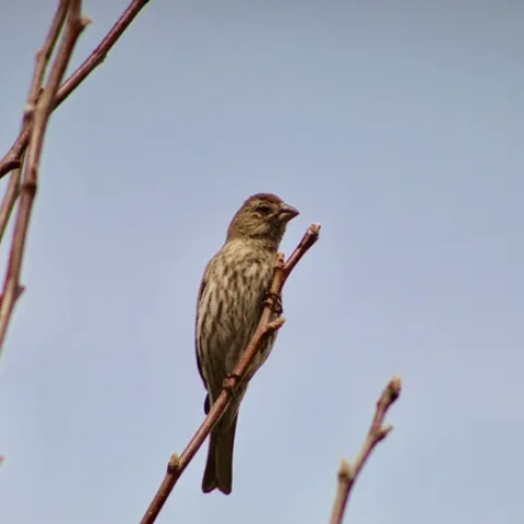 Photo by Max Light-Pacheco