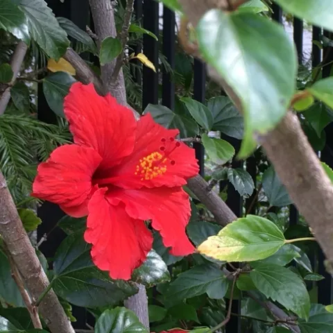 photo by Michelle Davis