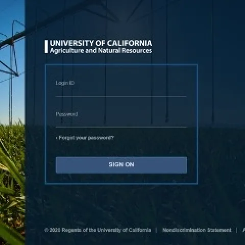 SSO will have a new look on desktop computers.