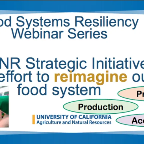 Food systems webinar series