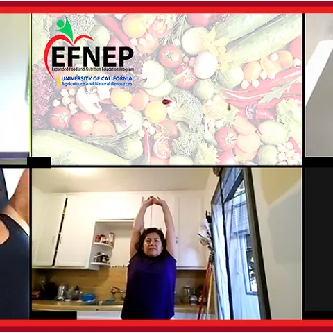 EFNEP-remote-banner-lrg