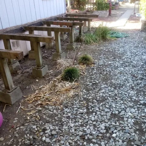 photo by Jenni Dodini