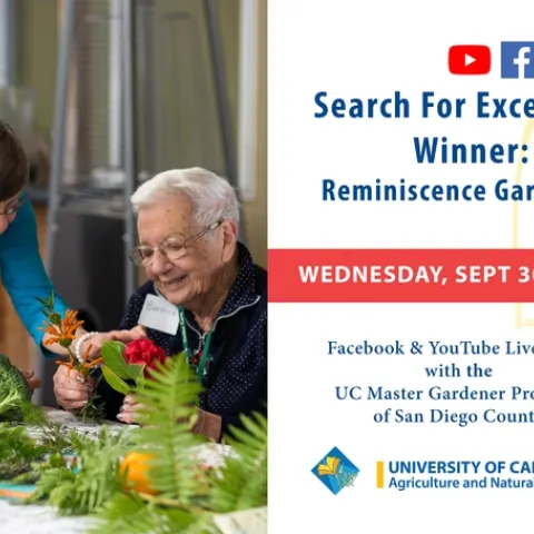 SFE San Diego Live ART