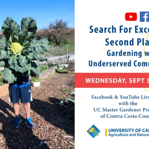 SFE Contra Costa Live ART