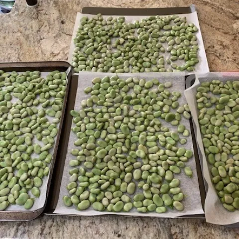 Beans on Freezing Trays