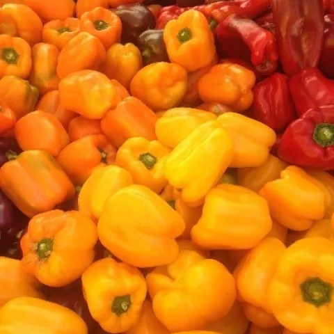 Variety of colorful bell peppers