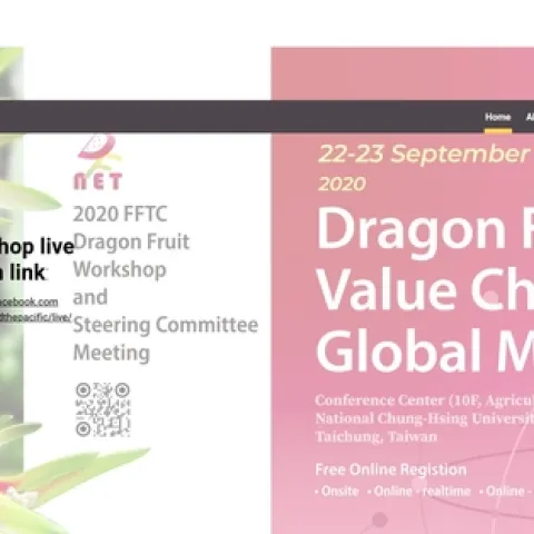 dragon fruit conference